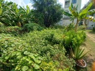 Bán đất Vườn Lài P. An Phú Đông Quận 12, Đường 6m, giảm giá còn 6.x