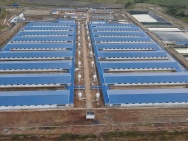 Bán Trang trại heo 26 Ha -Chư Prông, Gia Lai. Quy mô 18.000 heo