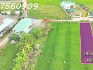 Bán lô đất siêu đẹp 5x30 - (147m2) - Đức Tân, Huyện Tân Trụ, Long