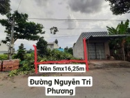 Bán 81.2m2 Nền Siêu Đẹp Cho Nhà Đầu Tư Tại Mặt Tiền Đường Nguyễn