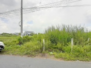Bán miếng đất mặt tiền đường Trường Bình, Phước Lâm, Cần Giuộc. Giá