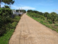 SỞ HỮU NGAY LÔ ĐẤT ĐẸP - GIÁ TỐT - Vị Trí Đắc Địa Tại Tân Lâm 2,