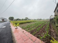 Chính chủ bán đất quất lâm 90m2 gần Quảng trường biển và KCN hiện