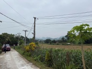 SỞ HỮU NGAY LÔ ĐẤT ĐẸP - GIÁ FO - Vị Trí Đắc Địa Tại Phú Thành, Lạc