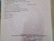 SỞ HỮU NGAY LÔ ĐẤT ĐẸP - GIÁ TỐT - Vị Trí Đắc Địa Tại Cẩm Lĩnh, Ba