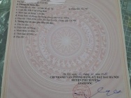 CHÍNH CHỦ BÁN LÔ ĐẤT ĐẸP - GIÁ TỐT - Vị trí đẹp tại xã Phúc Tiến,