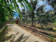 Cần bán nhanh lô Đắc Lộc - Vĩnh Phương ( nay là Phường Bắc Nha