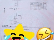 Chính Chủ Bán 319,3m2 Đất Ở Mặt tiền đường 610, Thôn Tân Thọ, Xã