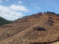 Một lô đầy tiệm năng dành cho nhà đầu tư 
- Ngay khu view của SG