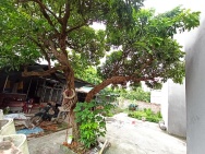 Bán đất HAI MẶT TIỀN TRƯỚC SAU, Dương Quang, Gia Lâm. Cách 1 nhà ra