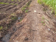 SIÊU PHẨM ĐẤT ĐẸP - Phù Hợp Cho Mọi Gia Đình