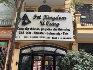 Bán nhà phân lô Nguyễn Cảnh Dị, Hoàng Mai, Ô tô tránh, vỉa hè KD,