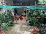 CHÍNH CHỦ BÁN SIÊU PHẨM - Chưa đến 4 tỷ khu nhà vườn cực đẹp trung