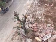 Bán đất ngõ Trần Quang Diệu – đối diện KĐT Tân Phú Hưng – giá 1.4x