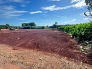 CẦN BÁN LÔ ĐẤT LONG PHƯỚC BRVT – nay thuộc P. TAM LONG, TP.HCM