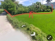 Chính chủ cần tiền xây nhà, bán bớt Đất trồng cây - Cách đường lớn