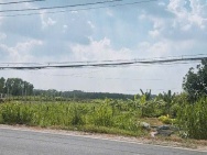 Bán đất mặt tiền Củ Chi ngang 15m đường xe container thông Quốc Lộ