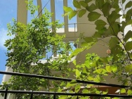 ‼️ Thích Quảng Đức Phú Nhuận – Hẻm đẹp yên tĩnh – 34m2 nở hậu – chỉ