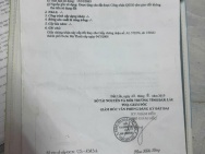 CHỦ NGỢP - Giảm giá bán nhanh trước tết nhà vườn -  Buôn Ma Thuột