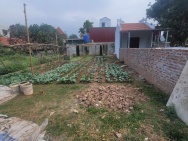 ĐẤT ĐẸP - GIÁ TỐT - Vị Trí Đắc Địa Tại Tam Thuấn - Phúc Thọ - Hà Nội