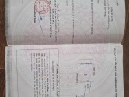 ĐẤT ĐẸP - GIÁ TỐT - Vị Trí Đắc Địa Tại Thôn Kim Tràng, Xã Việt Lập,