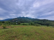 SỞ HỮU NGAY LÔ ĐẤT ĐẸP - GIÁ TỐT - Vị Trí Đắc Địa Tại Yên Trung,