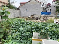 MAI ĐÌNH -76M - CHỈ NHỈNH 3ty - SÁT KCN NỘI BÀI - Ô TÔ TRÁNH - GẦN