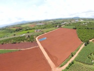 Cần bán lô đất siêu đẹp 3 mặt tiền tại Tân Hội, Đức Trọng, Lâm