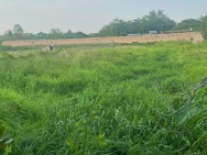 BÁN 3000M2 (15x200) - ĐẤT CÁI RĂNG, TP Cần Thơ - LỘ 91C 40m đang