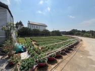 CHÍNH CHỦ Bán hai lô đất măt tiền đường Bến Đôi, Đồng Nai - Giá 2