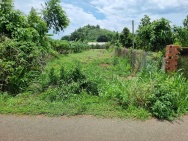 CẦN BÁN 1000m² ĐẤT MẶT TIỀN ĐƯỜNG NHỰA – LONG PHƯỚC, TP. BÀ RỊA (P.