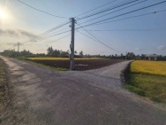 Chính chủ cần bán đất nền Ấp Bình Cách, xã Yên Luông, Gò Công Tây,