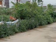 Chính chủ cần bán lô đất vàng siêu đẹp tại Sóc Sơn - Giá chỉ 12