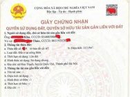 ĐẤT PHÚ CÁT – VỊ TRÍ TIỀM NĂNG, GIÁ ĐẦU TƯ-Chính chủ cần sang