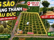 SIÊU PHẨM NHÀ VƯỜN SẦU RIÊNG 7.6 SÀO – DOANH THU KHỦNG – CÓ SẴN 3