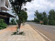 Đất chính chủ Hoàng Văn Thụ - Phường 1, 110m2 full thổ cư