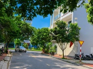 Đất Mặt Phố Nguyễn Thiện KĐT Tây Nam Cường Mặt 5m Sạch Đẹp Giá 3.4x