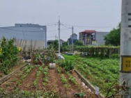 LÔ ĐẤT HIẾM LẠI YÊN, HOÀI ĐỨC – GẦN HỒ, ĐƯỜNG Ô TÔ, PHÙ HỢP Ở VÀ
