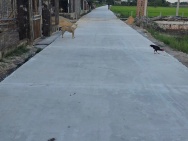 Đất An Thuận, An Ninh Đông - 165m2 thổ cư full, mặt tiền đường bê