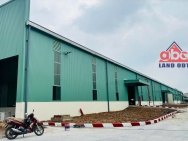 XT161 nhà xưởng cho thuê ổn định lâu dài, thu hút nhiều DN FDI Sản