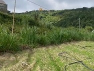 BÁN 5 SÀO ĐẤT – GẦN KHU NGHỈ DƯỠNG ĐÀ LẠT SAMTANHILL – GIÁ CHỈ