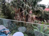 BÁN NHÀ MẶT NGÕ LINH LANG 45M 5 TẦNG MT 3.5M DT KHỦNG GIÁ 21 TỶ