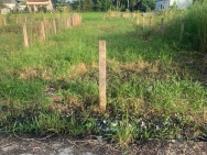 bán đất nền 100% thổ cư Tại Xã Mỹ Lệ,Cần Đước, Long An.