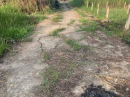 bán đất nền 100% thổ cư Tại Xã Mỹ Lệ, Huyện Cần Đước, Long An