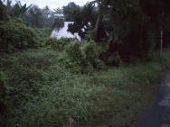 Chính Chủ Cần Bán 2000m2 Đất Vườn Tại 454, xã Tiên Long, Huyện Châu