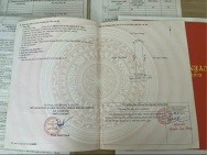 Lô đất Thù Du – Minh Tân – Kiến Thụy  Diện tích đẹp gần 90m², khu