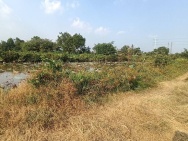 Đất CLN- Đỗ Văn Dậy - Wien Kênh Sáng - Hóc Môn 6600m2 Cạnh Công