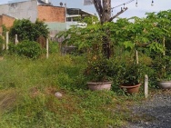 BÁN ĐẤT CHÍNH CHỦ VỊ TRÍ ĐẸP ĐƯỜNG TỈNH LỘ 825 – ĐỨC HÒA HẠ, LONG AN