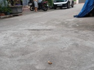 Vị trí đắc địa đường Tư Đình - Long Biên.