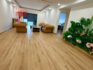 CHỦ CẦN BÁN NHANH CĂN CHUNG CƯ CAO CẤP Ở PARAGON CẦU GIẤY